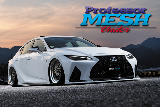 Professor MESH Under